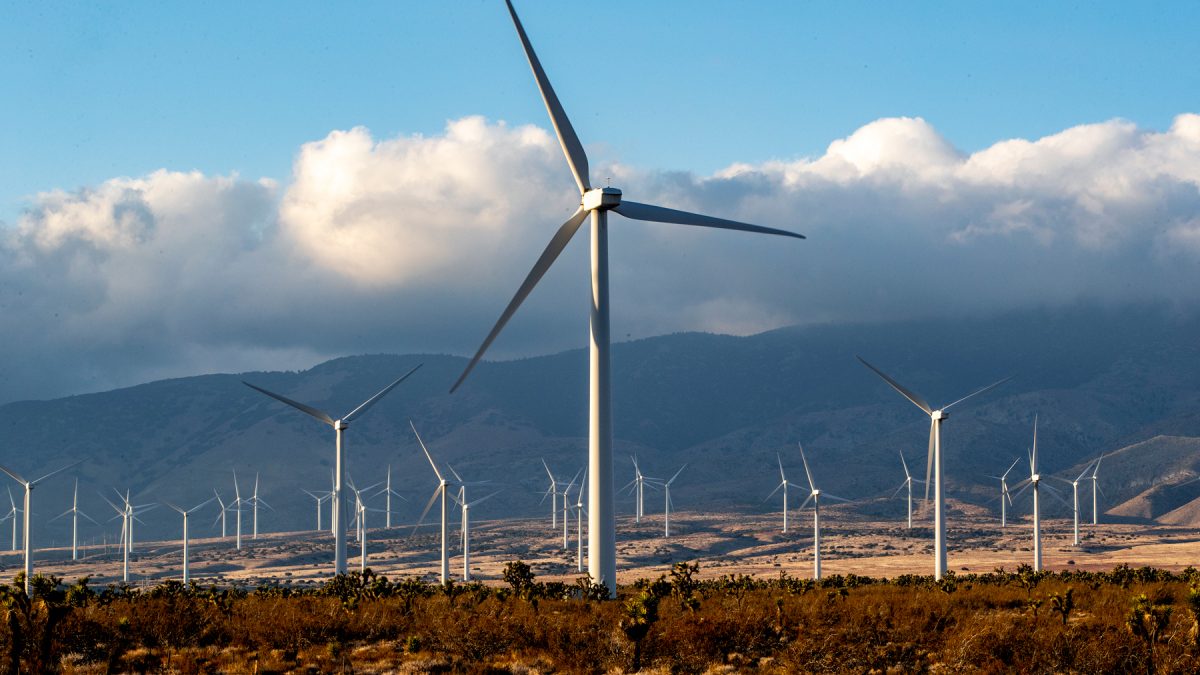 Three possible futures for global climate scepticism