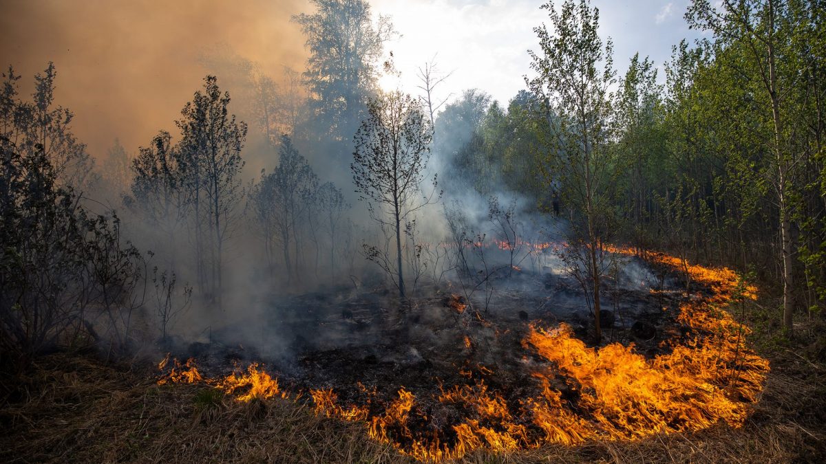 “Zombie fires” detected in Alaska and Canada, set to increase as climate warms