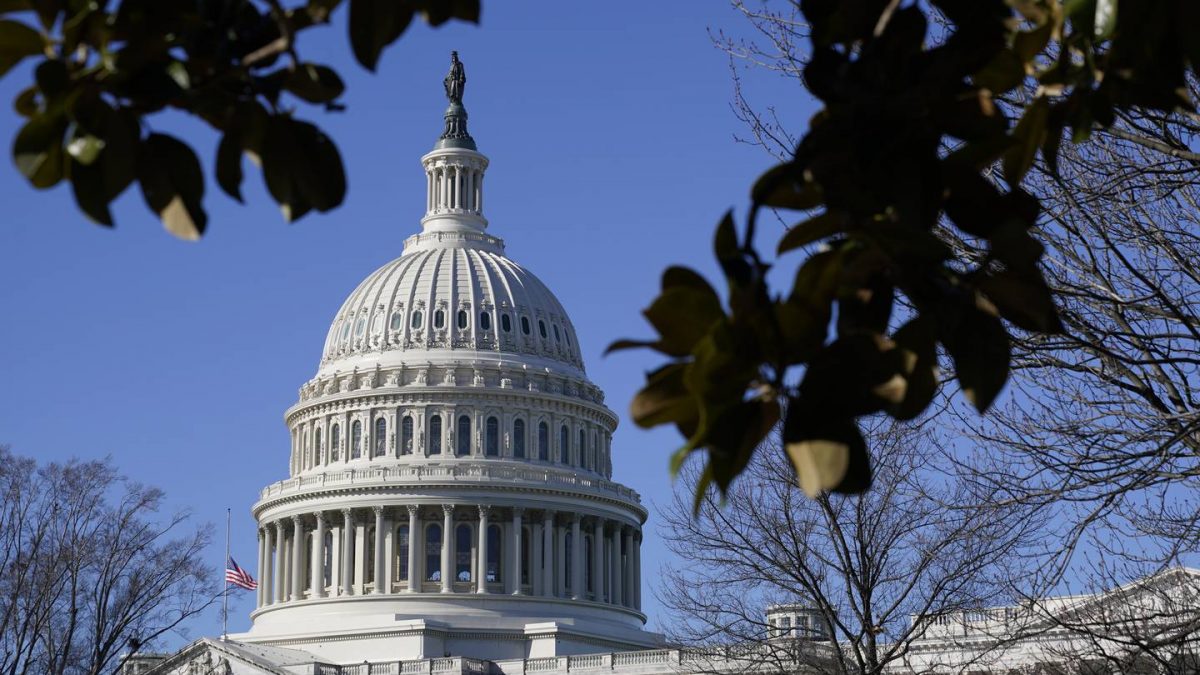 Q&A with Alaska U.S. House candidates: Why are you running?