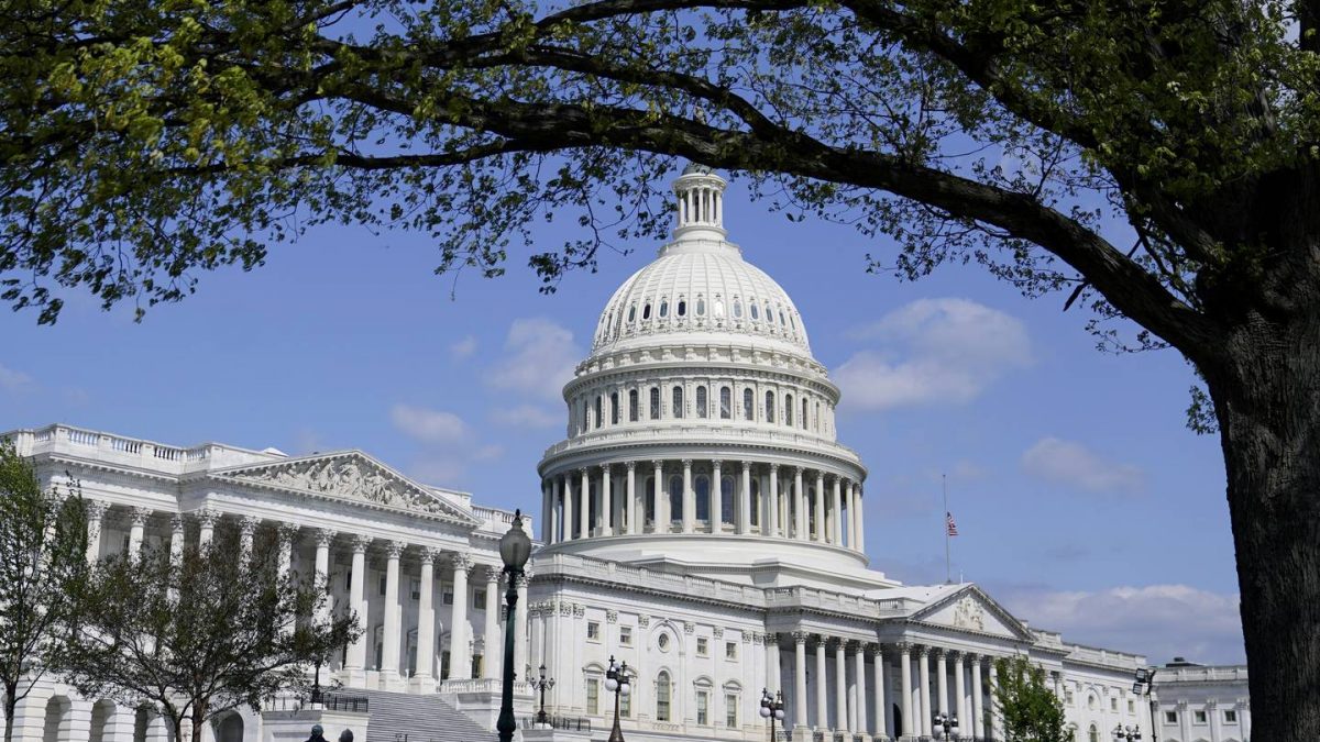 Q&A with Alaska U.S. House candidates: What should the federal government do to address mass shootings?