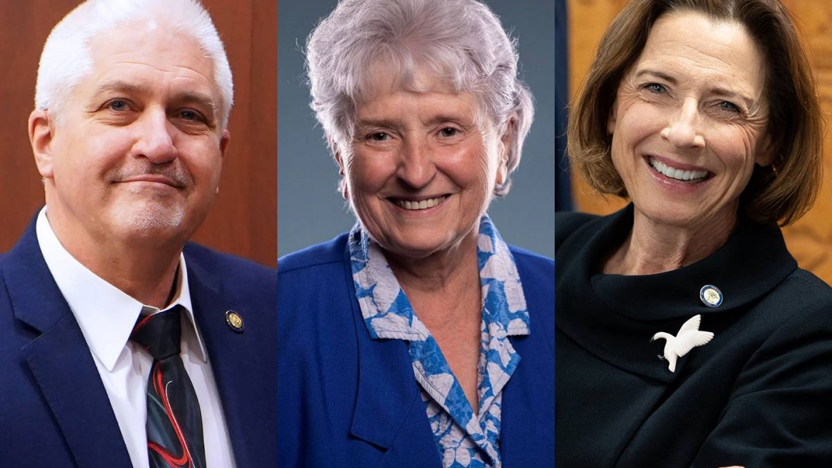 In South Anchorage and Girdwood state Senate race, candidates focus on crime fears