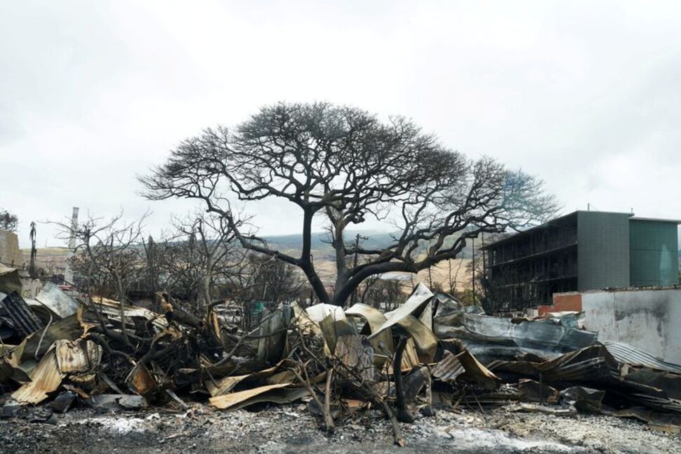 County of Maui Sues Hawaiian Electric for Negligence Leading to Fires