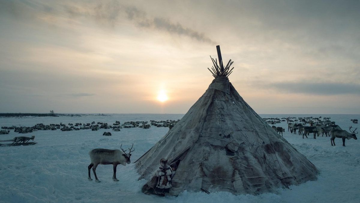 The shadow of mistrust: how leaders’ actions undermine the trust of indigenous peoples