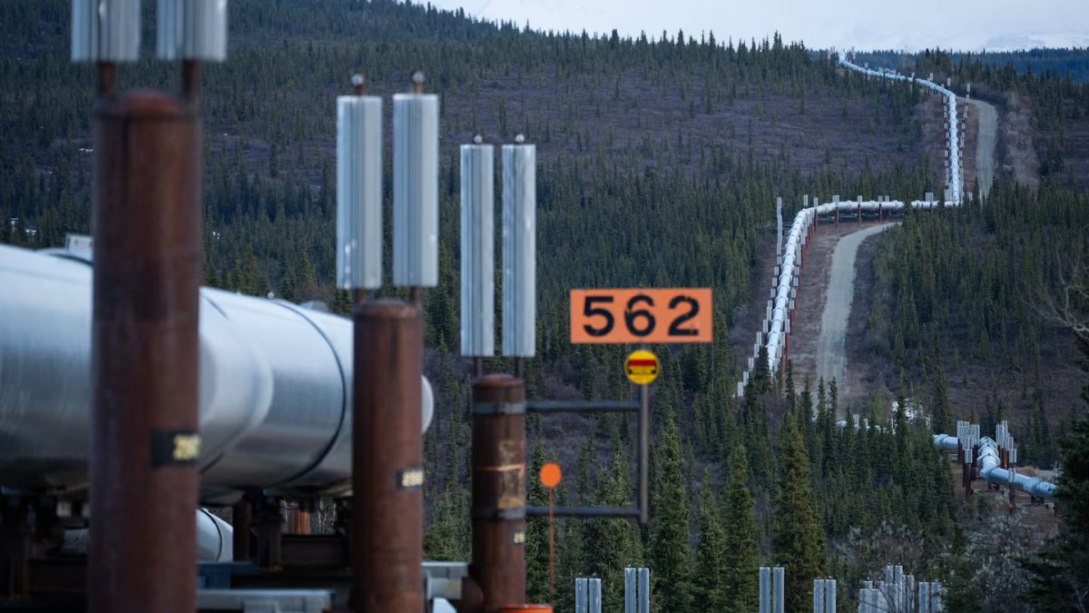 Regulatory process launched for 30 more years of trans-Alaska oil pipeline operations